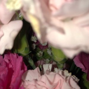 Meet your Posher, Jessa